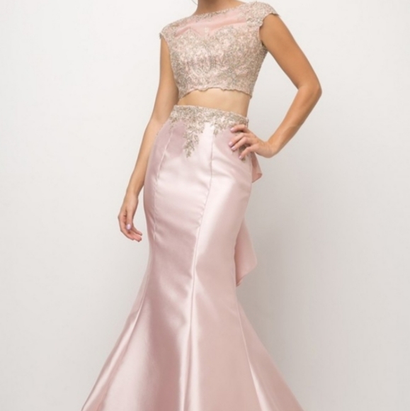For You Dresses Dresses & Skirts - Size 2 Blush & Gold Embroidery 2pc Gown